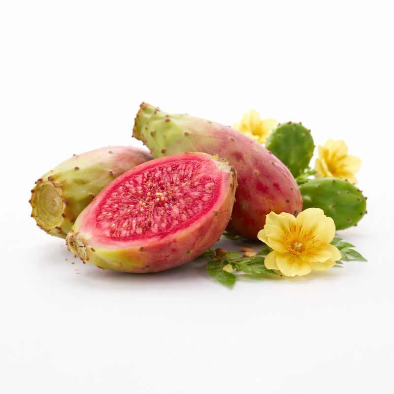 prickly pear bee divine ingredients natural organic skincare brand uk luxury CRMS SKin intelligence