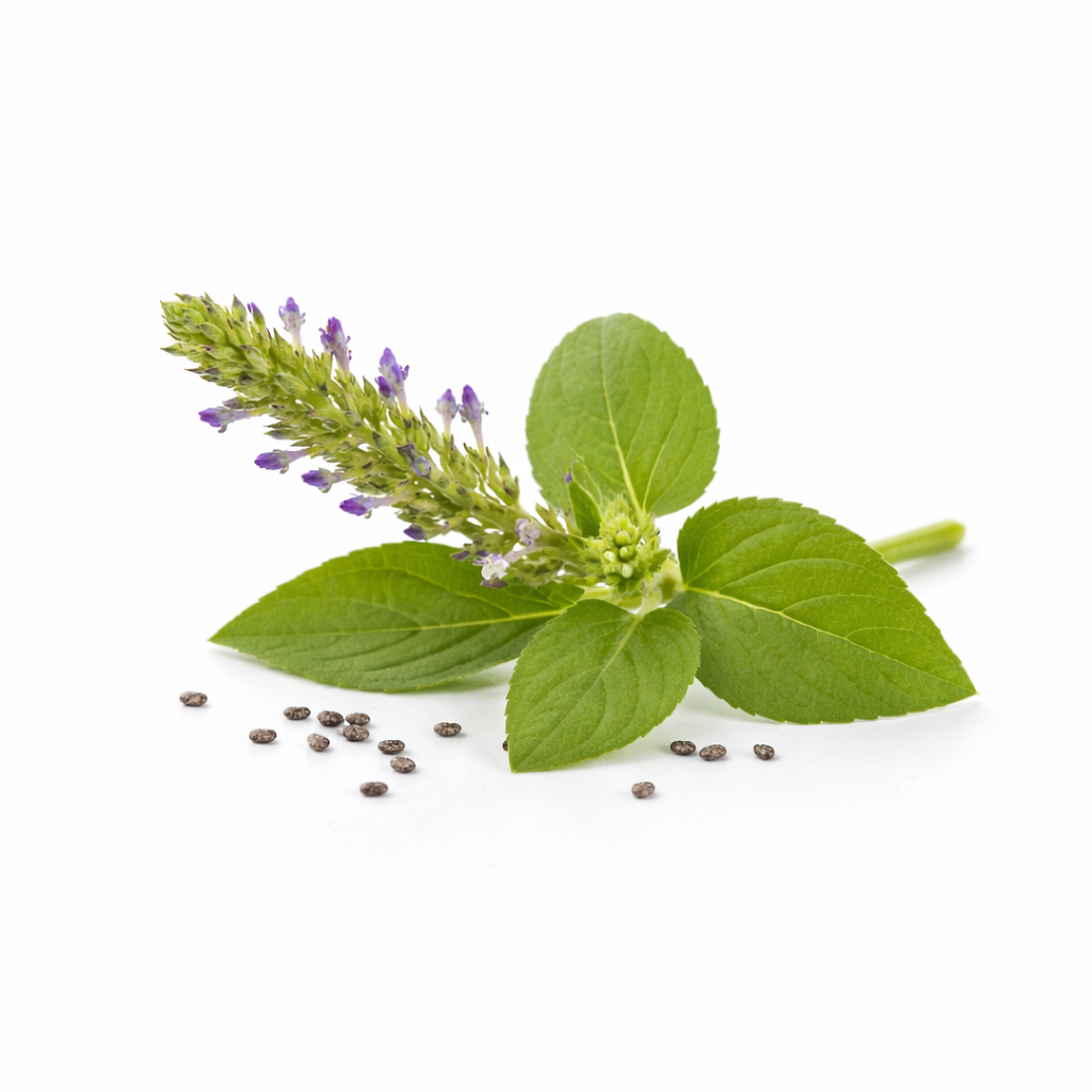 Chia seed oil ingredients Bee Divine Natural organic skincare Luxury Brand uk CRMS Skin Intelligence