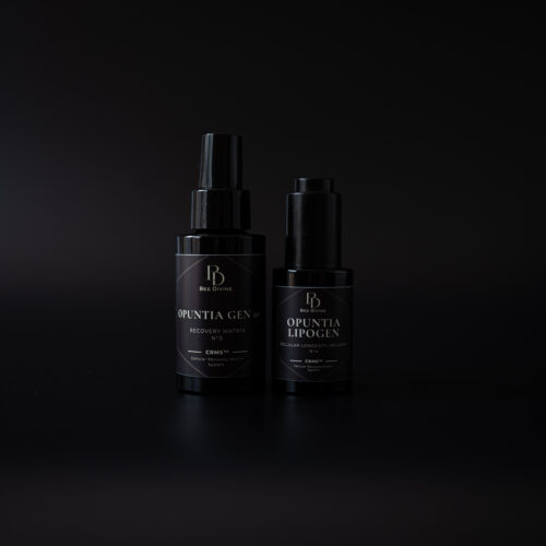 THE LUMINOUS SKIN RITUAL BEE DIVINE NATURAL ORGANIC SKINCARE BIOTECH LUXURY BRAND UK CRMS SKIN INTELLIGENCE