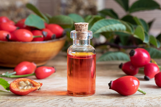 rosehip oil skin benefits ingredients bee divine natural and organic skincare cosmetic vegan