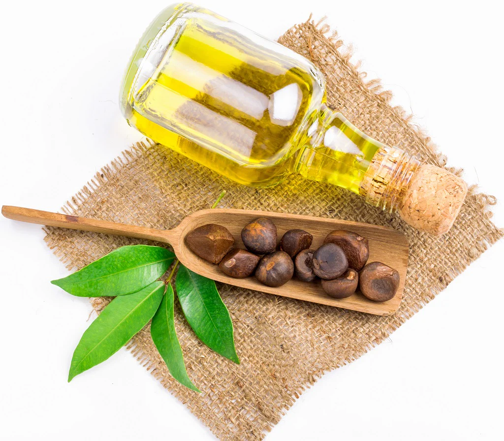 camellia seed oil ingredients skin benefits bee divine natural and organic skincare cosmetic