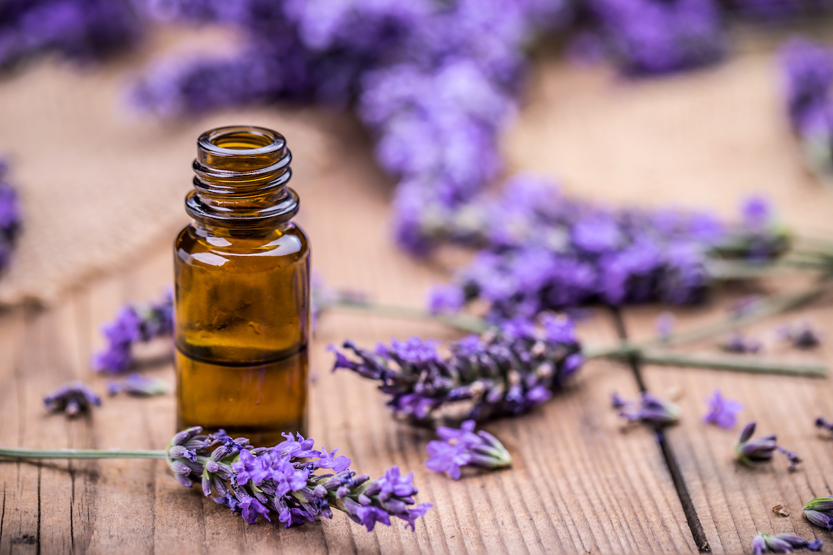 lavender oil skincare natural and organic Bee Divine cosmetic vegan ingredients skin benefits