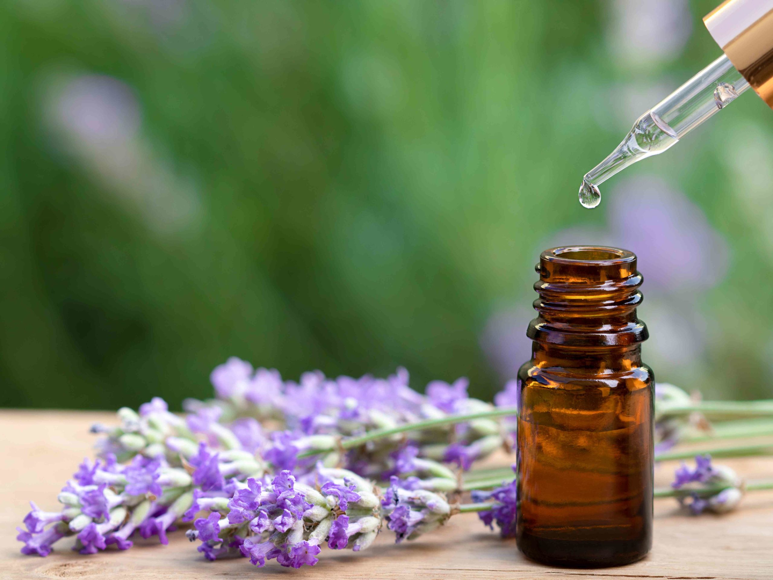 lavandin oil skincare natural and organic Bee Divine cosmetic vegan ingredients skin benefits