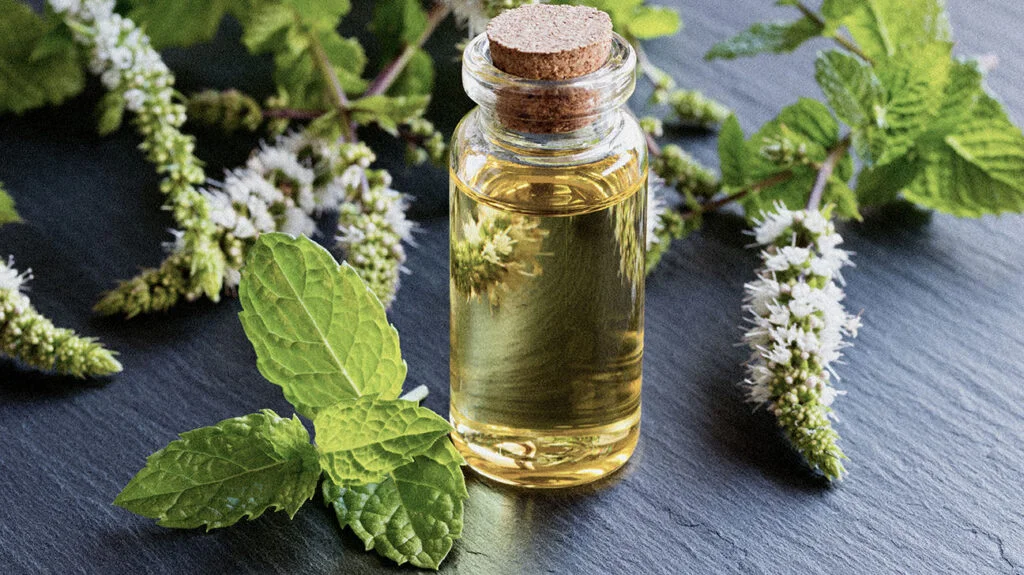 peppermint oil skincare natural and organic Bee Divine cosmetic vegan ingredients skin benefits