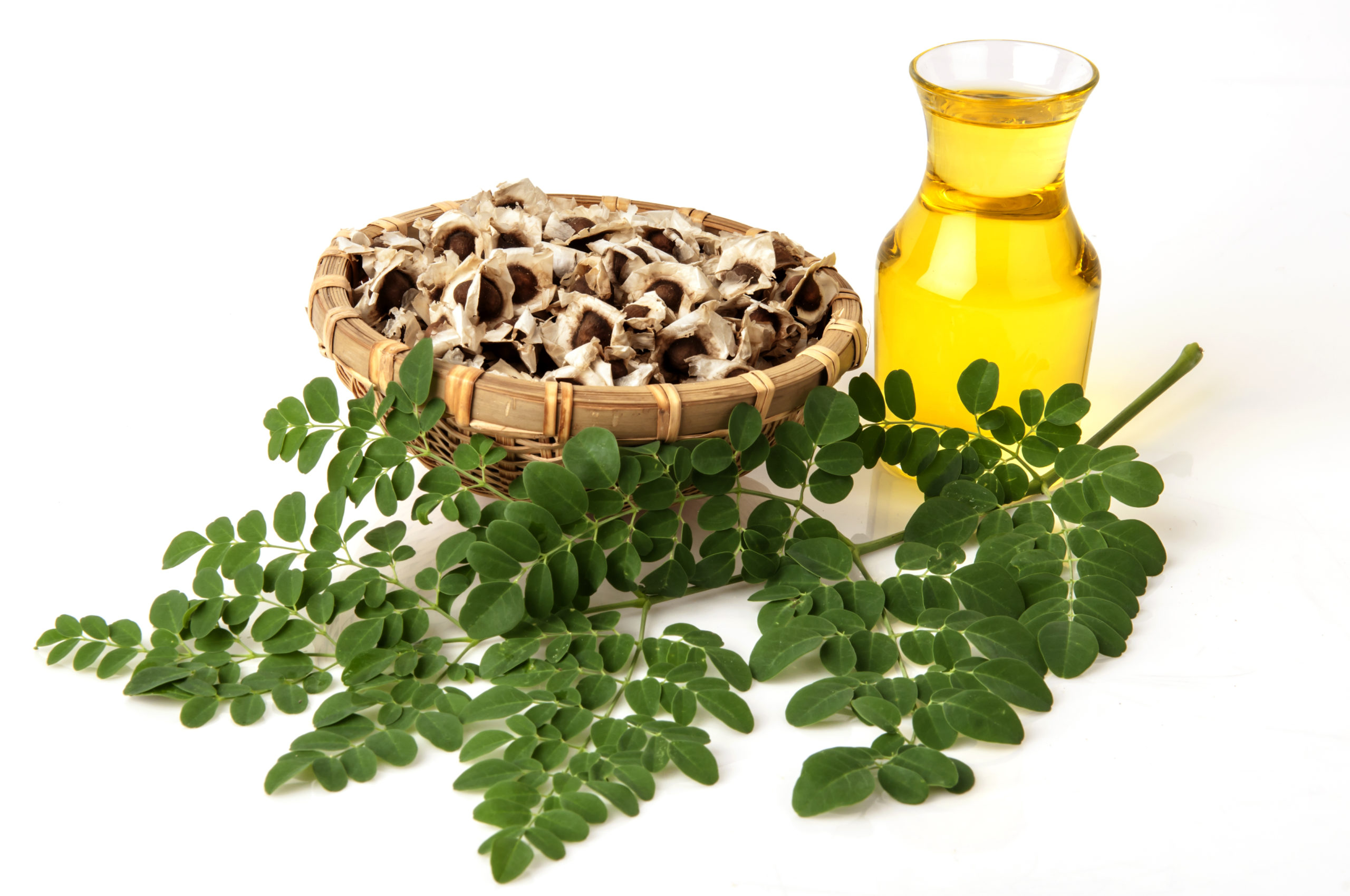 Moringa Oil is one of the richest plant sources of omega-3 fatty acids. It helps to calm irritation, reduce fine lines and deliver intense hydration.