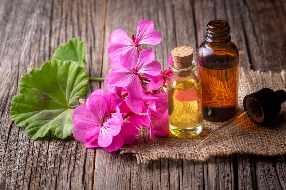 Rose geranium skincare natural and organic Bee Divine cosmetic vegan ingredients skin benefits