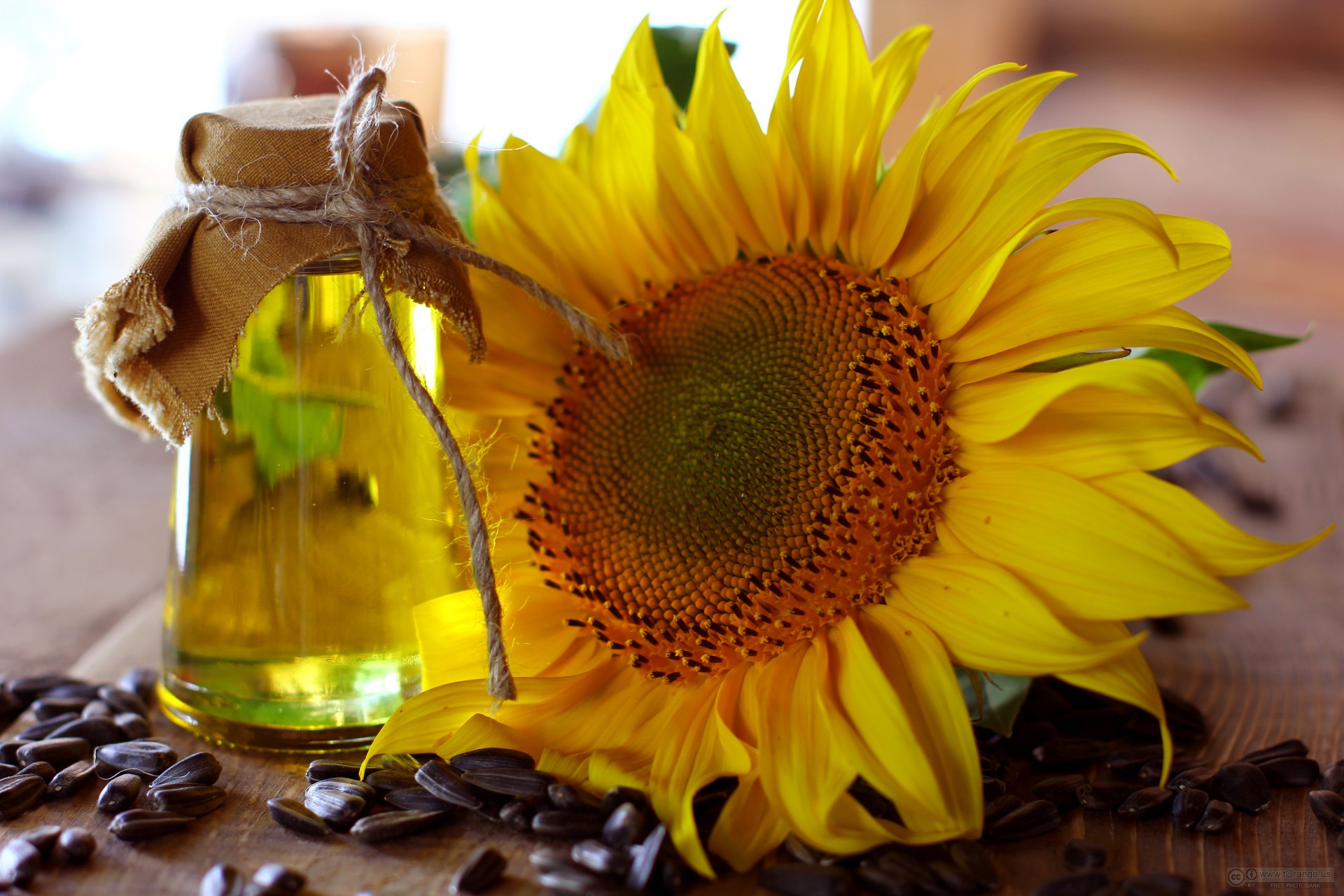 Sunflower Seed Oil is one of the richest plant sources of omega-3 fatty acids. It helps to calm irritation, reduce fine lines and deliver intense hydration.