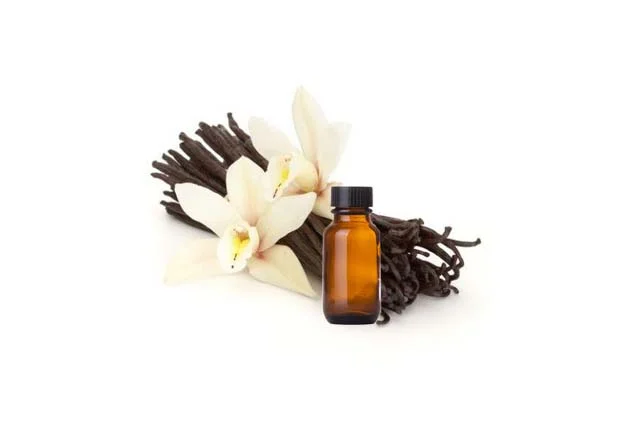 vanilla oil skincare natural and organic Bee Divine cosmetic vegan ingredients skin benefits