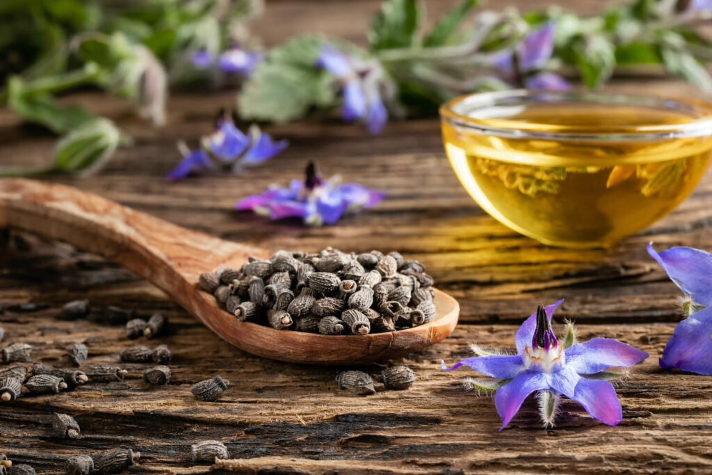 Borage Seed Oil is one of the richest plant sources of omega-3 fatty acids. It helps to calm irritation, reduce fine lines and deliver intense hydration.