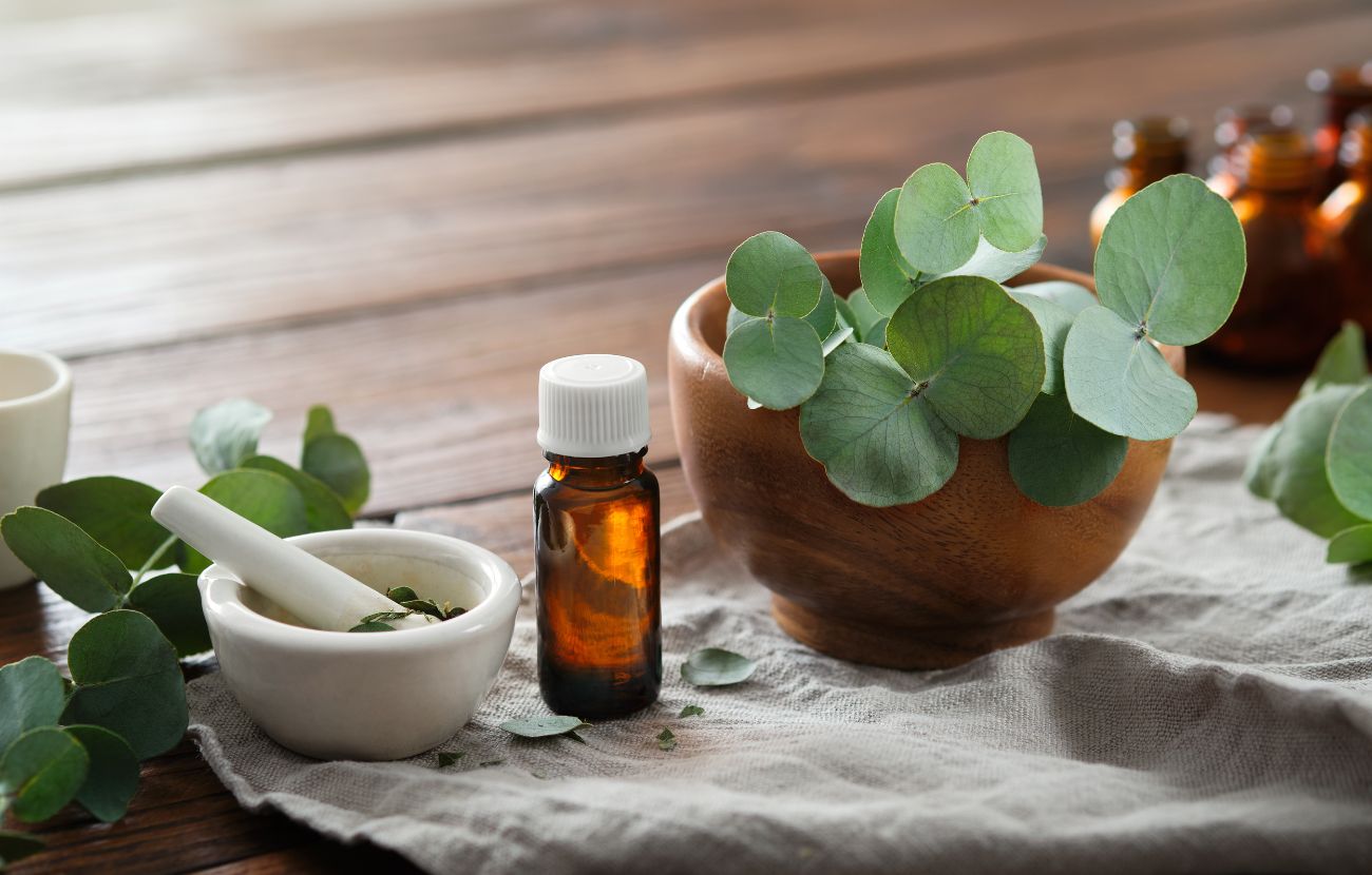 eucalyptus oil skincare natural and organic Bee Divine cosmetic vegan ingredients skin benefits