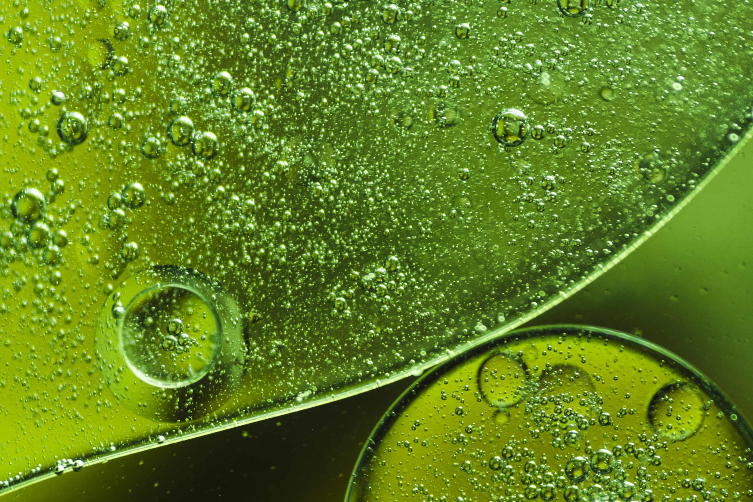 vegetable glycerine skin benefits ingredients bee divine natural and organic skincare