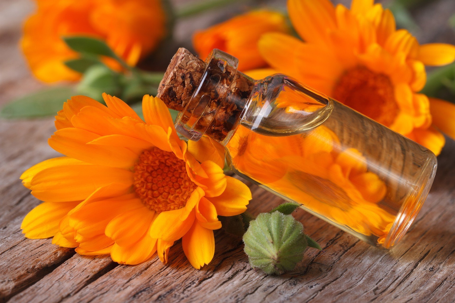 calendula oil bee divine natural and organic skincare skin benefits ingredients cosmetic