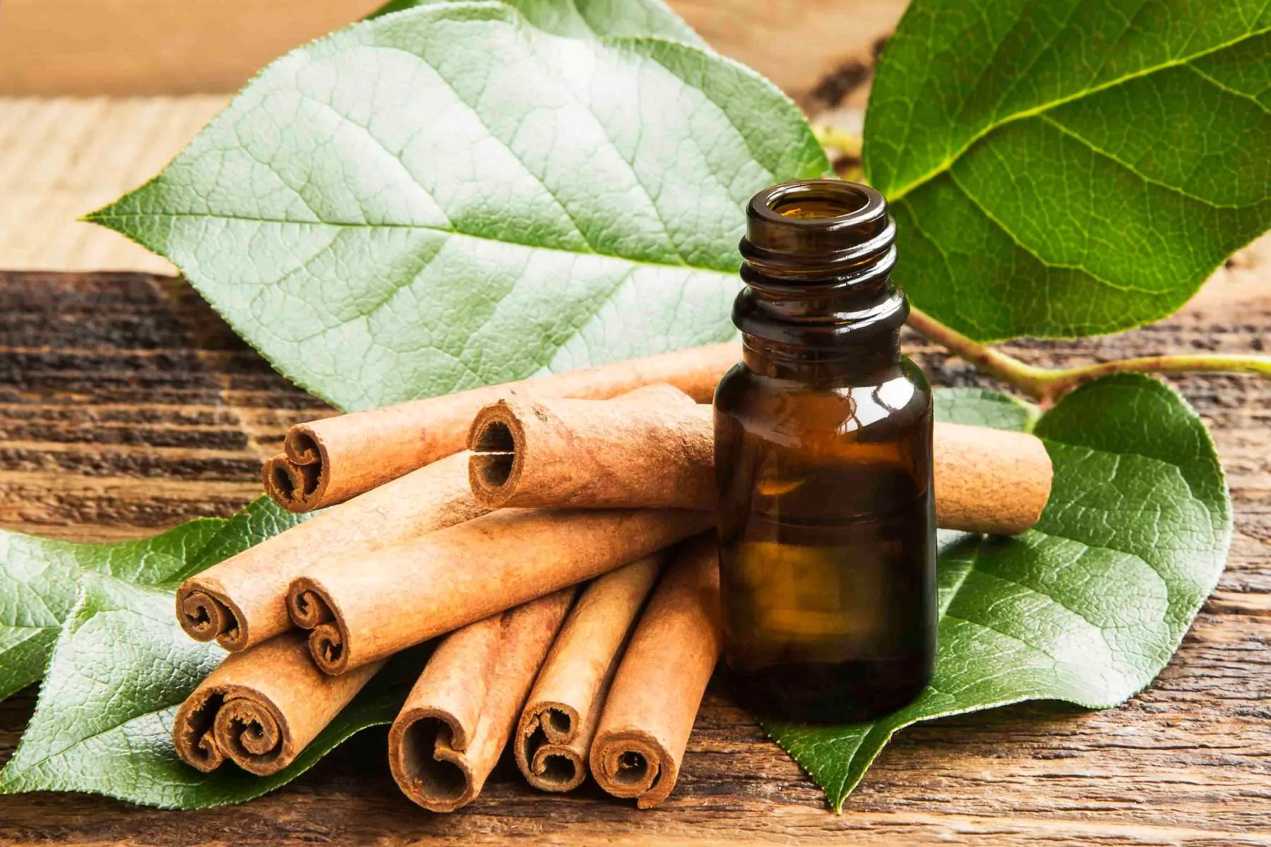 cinnamon leaf oil skincare natural and organic Bee Divine cosmetic vegan ingredients skin benefits