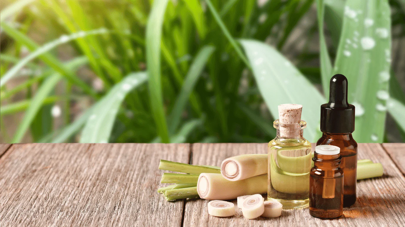 lemongrass oil skincare natural and organic Bee Divine cosmetic vegan ingredients skin benefits