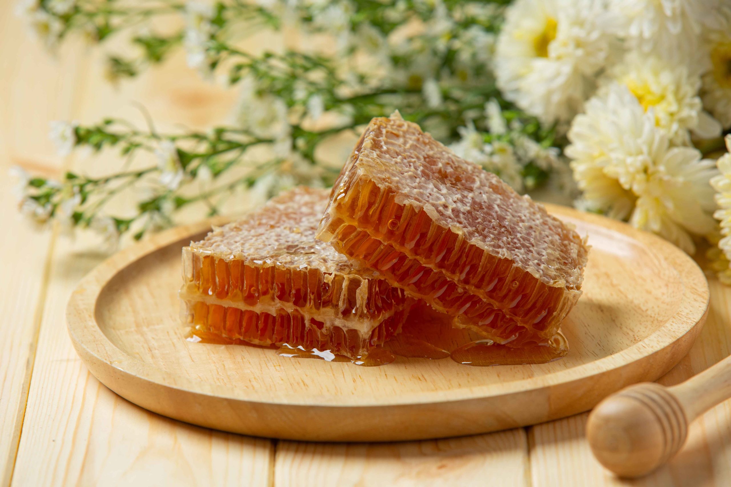 Beeswax bee divine natural and organic skincare skin benefits vegan cosmetic