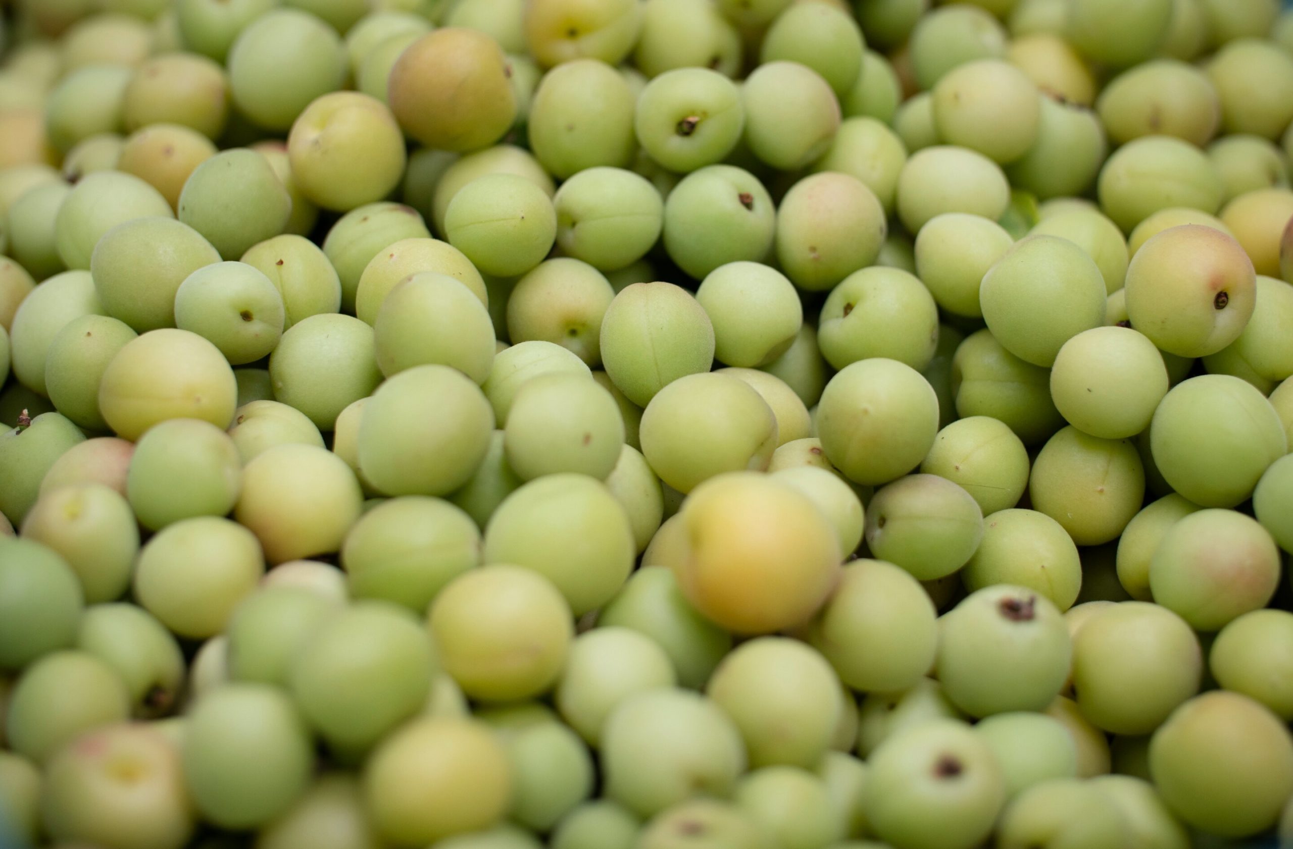 kakadu plum skin benefits ingredients bee divine natural and organic skincare