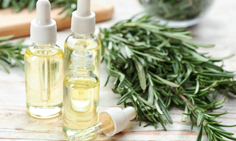 rosemary oil skincare natural and organic Bee Divine cosmetic vegan ingredients skin benefits