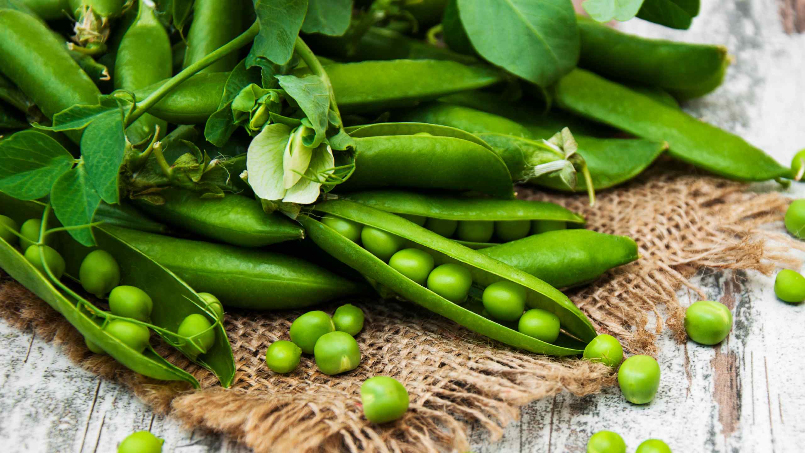 pea peptide skin benefits ingredients natural and organic skincare bee divine vegan cosmetic