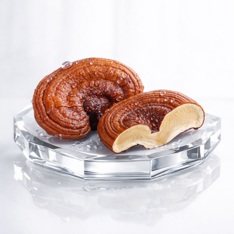 reishi mushroom extract ingredient bee divine natural and organic skincare luxury uk brand CRMS Skin Intelligence